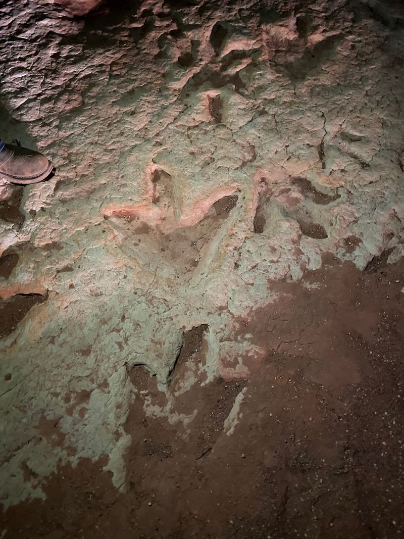 The Three-Toed Tracks Of Ancient Theropods