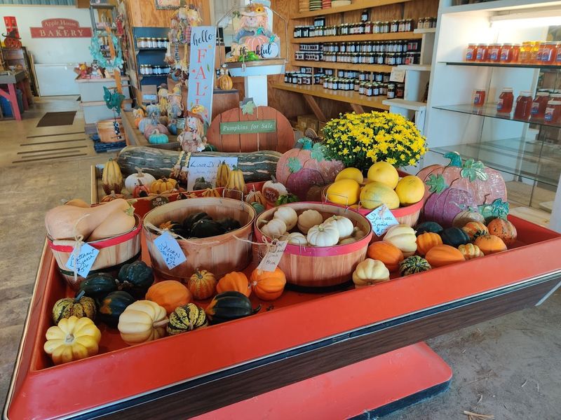 Melons, Tomatoes, And Sweet Corn That Taste Like Summer Itself