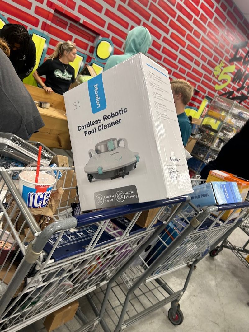 Hunt The Big-Shelf Lots And Auctions