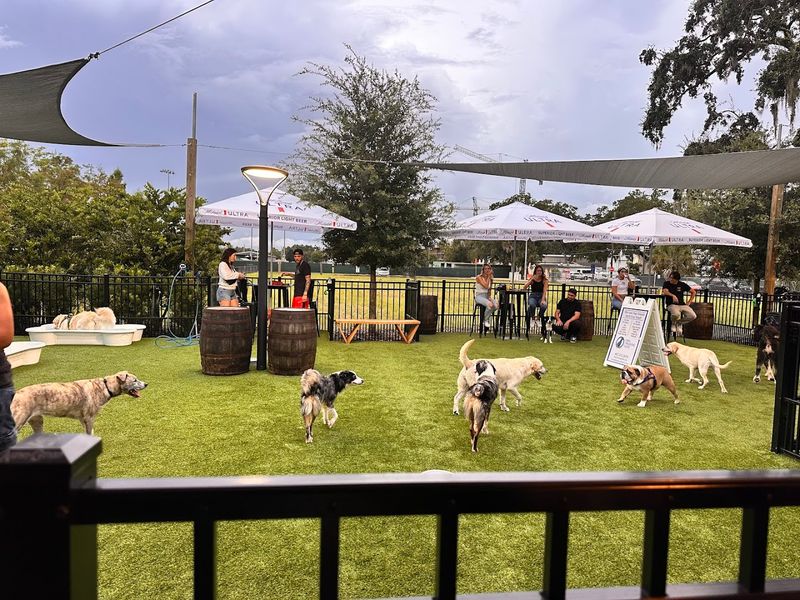 The Play Yard Setup Keeps Dogs Safe And Happy
