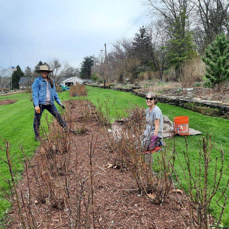 Membership Perks And Volunteer Opportunities