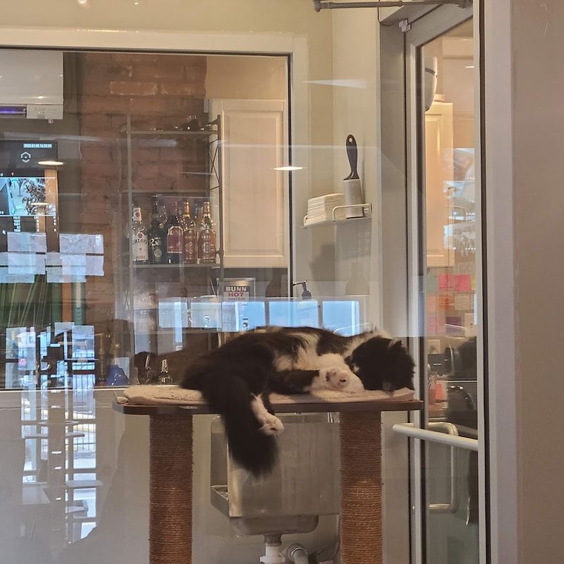 Why This Place Is Worth the Trip to Dayton