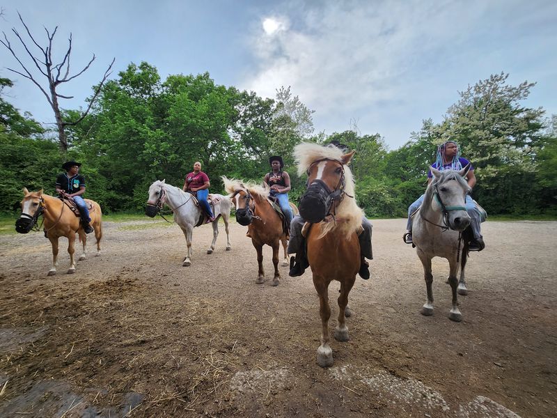 Memory Lane Stables