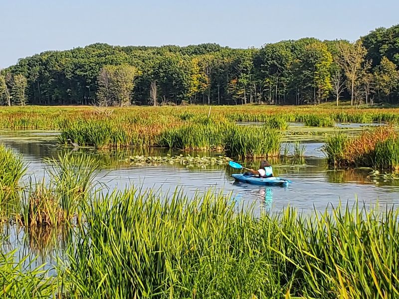 Mentor Lagoons Nature Preserve and Marina, Mentor