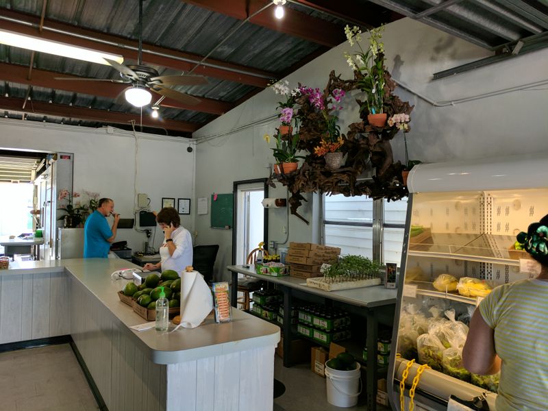 Signature Cinnamon Rolls In Detail