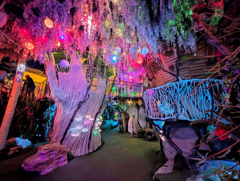 Meow Wolf House Of Eternal Return