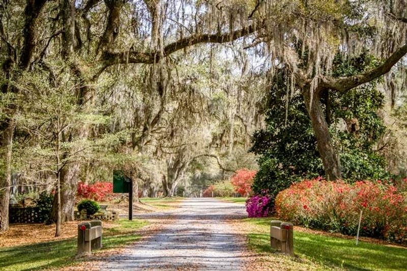 Mepkin Abbey, Moncks Corner