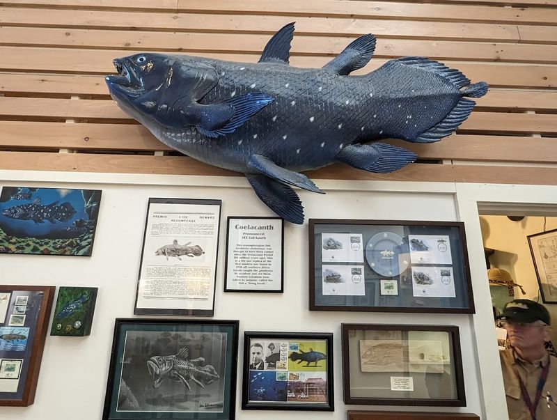 When “Extinct” Isn’t The End