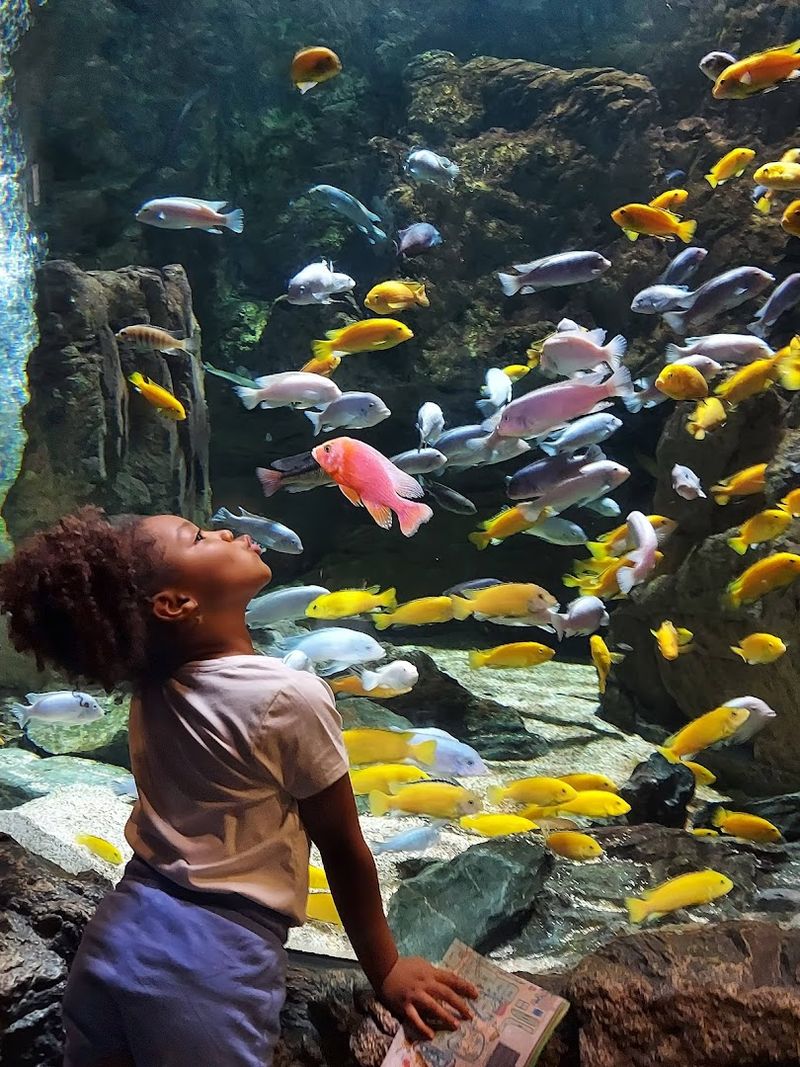 Easter Egg Hunt At Wildlife World Zoo Aquarium And Safari Park