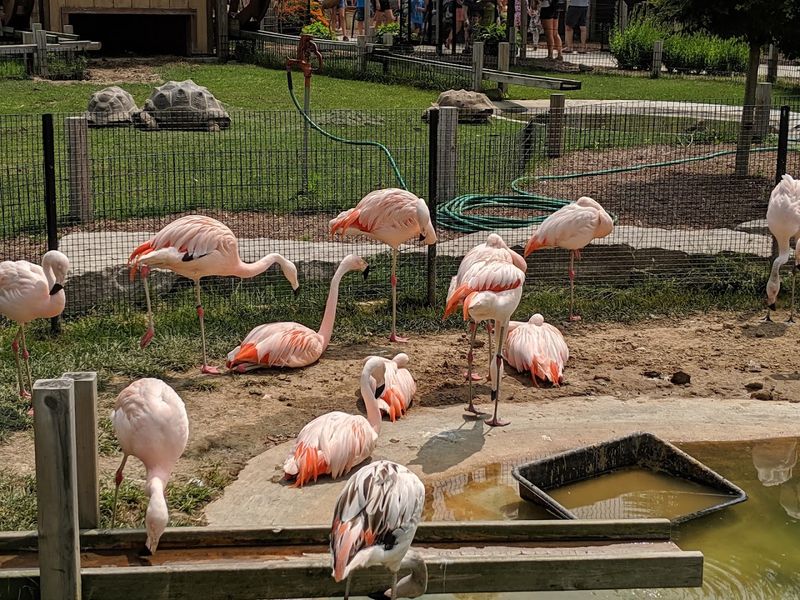Noon Shadows and Quiet Crowds