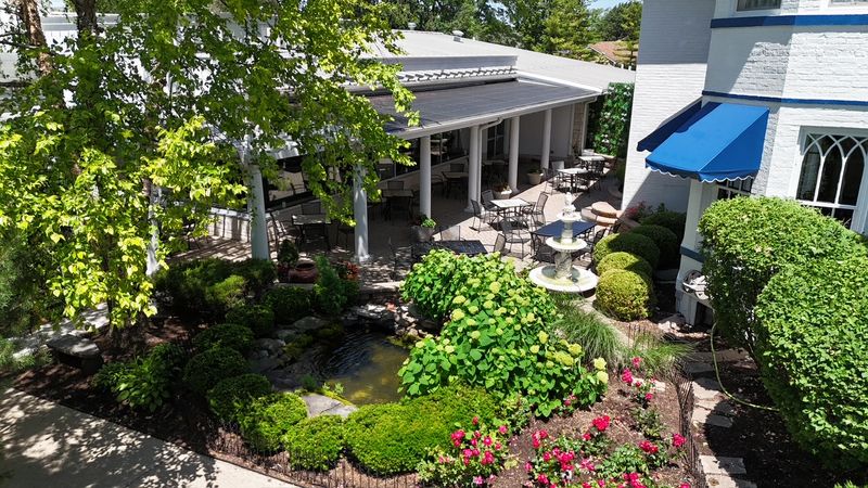 Meson Sabika, Naperville