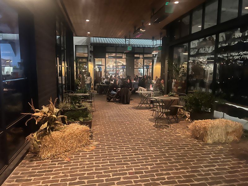 Lioness — Seattle, Washington