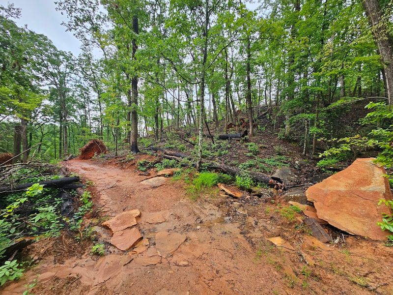 Metamorphic Rock Reveals Continental Collision Forces