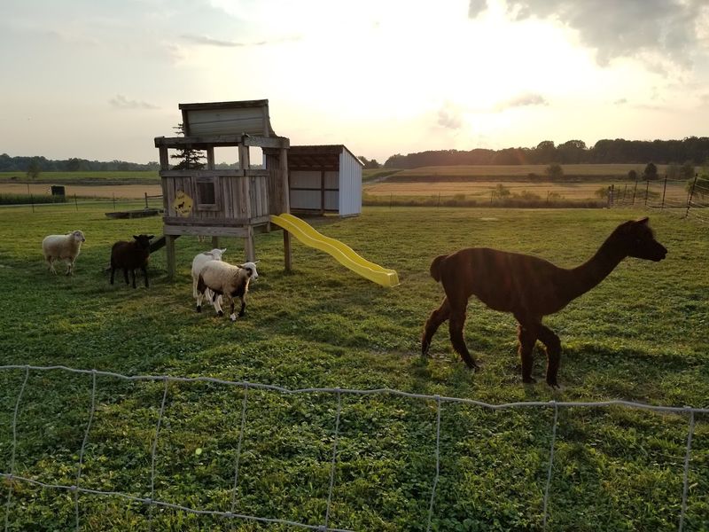 MetroParks Farm, Canfield