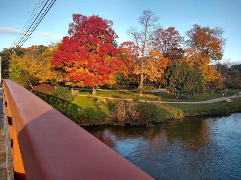 Chippewa River Paddling And Fishing