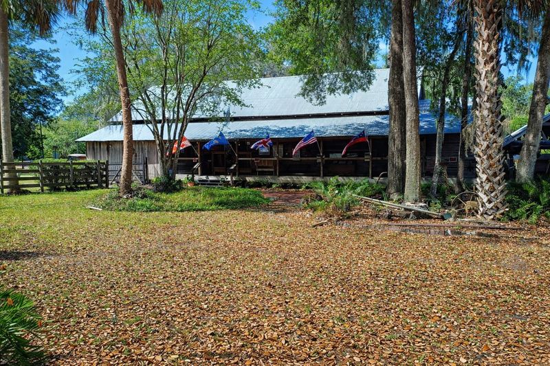 Micanopy Micanopy