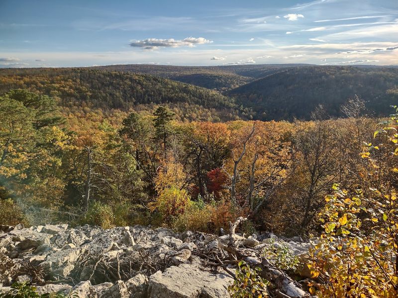 Michaux State Forest Horse Trails, Fayetteville, Pennsylvania