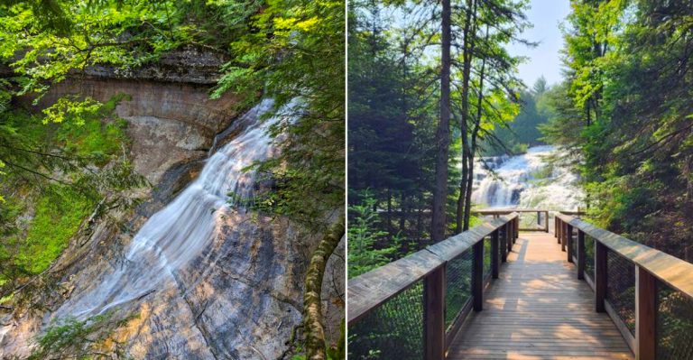 Best Michigan Short Hikes