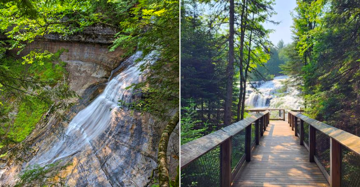 Best Michigan Short Hikes