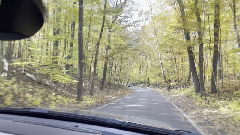 Tunnel Of Trees, M-119 Between Harbor Springs And Cross Village
