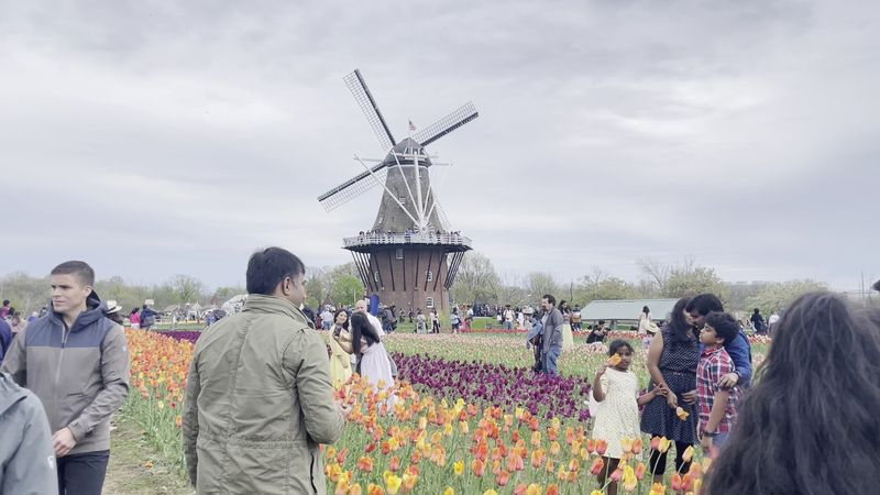Holland Tulip Time, Holland