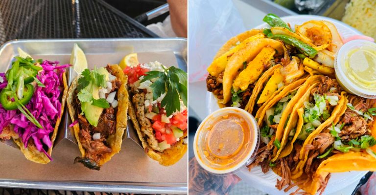 Essential Michigan Taco Trucks for Street Food