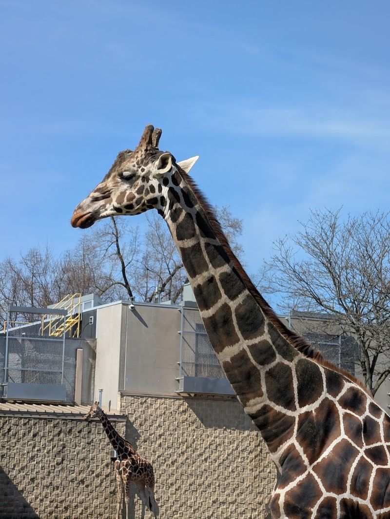 Arrive Early And Wander Back First