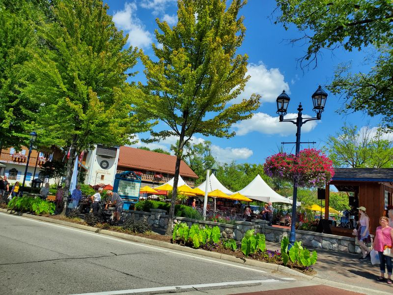 Frankenmuth Aerial Park Ropes And Trees