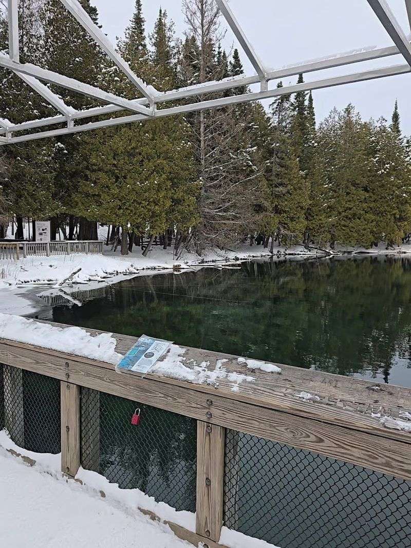 Respect The No Swimming Rule