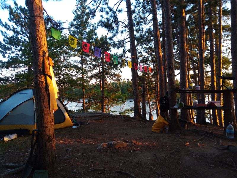 The Plan That Picks You