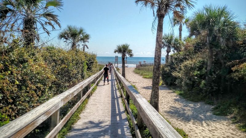 Mickler's Landing Mickler's Landing