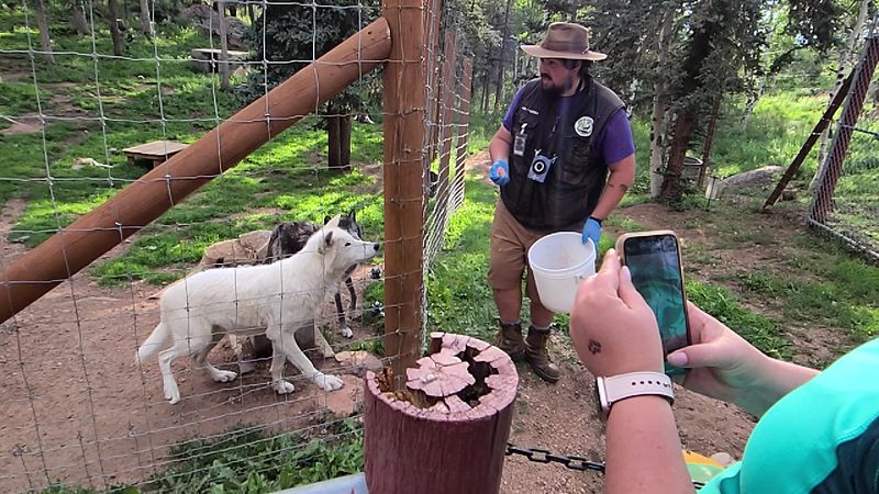 How This Place Fits a Family Trip, a Couple's Escape, or a Solo Detour