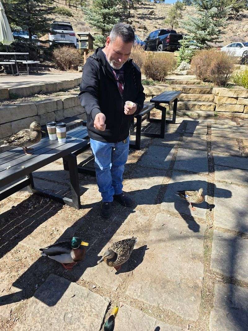 The Cafe That Turns A Road Trip Stop Into A Memory