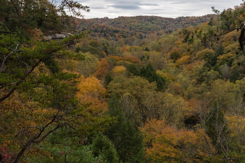 Mid-October Is When The Hills Really Light Up
