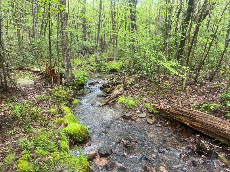Mid State Trail, Clearville, PA