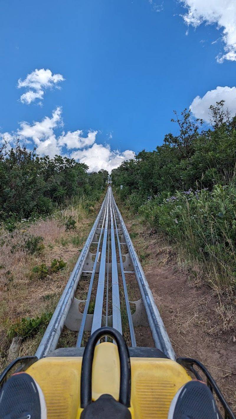 What Makes the Alpine Coaster Different From Every Other Coaster
