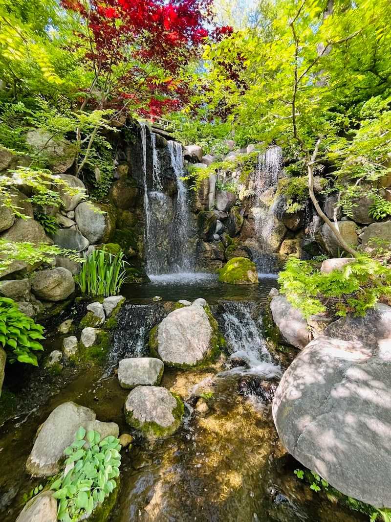 Anderson Japanese Gardens, Rockford
