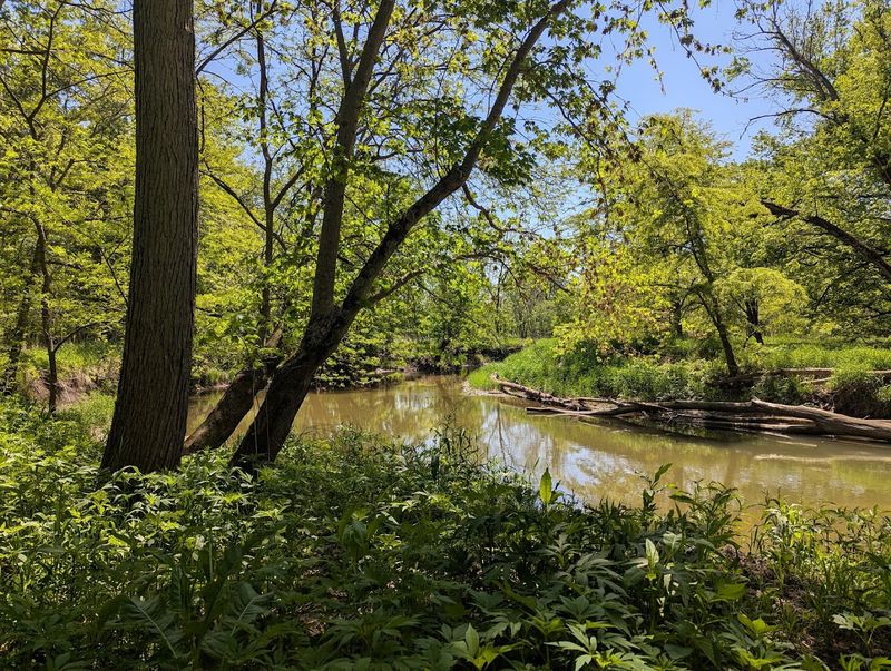 Middle Fork River State Preserve, Penfield