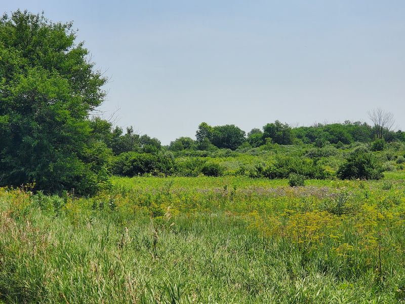 Midewin Best Fits the Unnamed Prairie-Walk Premise