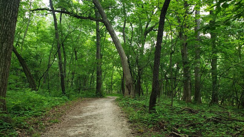 Deer Grove Forest Preserve