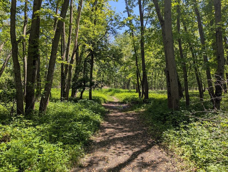 Middle Fork River Forest Preserve, near Penfield, Illinois