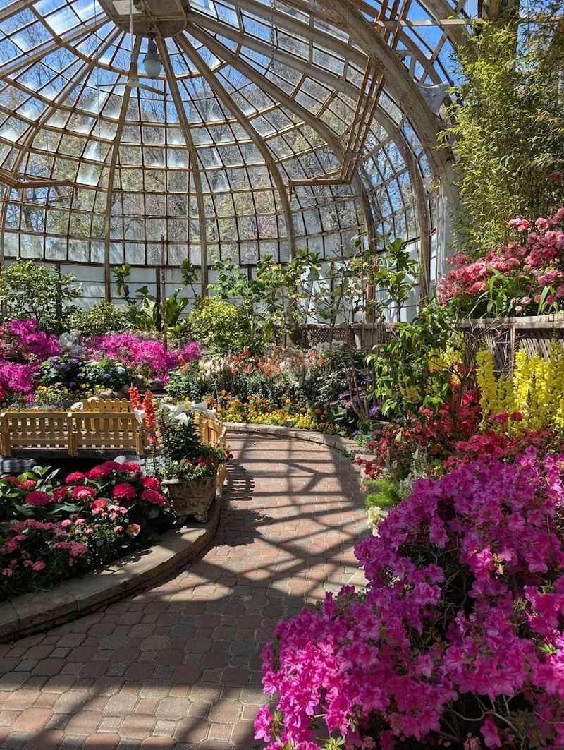 Lincoln Park Conservatory