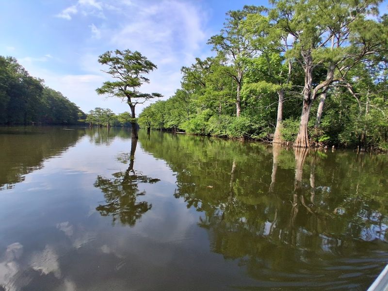 Remote Boat Routes Through Hidden Channels