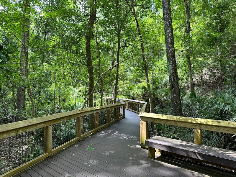 Mike Roess Gold Head Branch State Park Mike Roess Gold Head Branch State Park