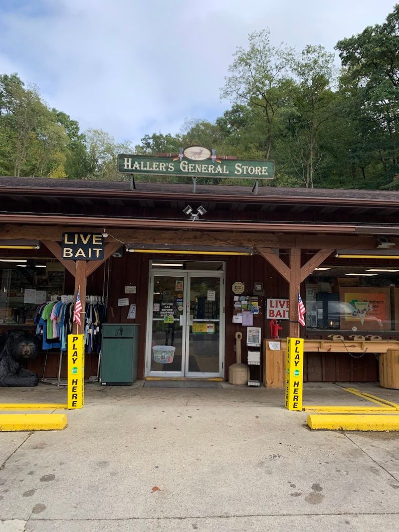 Haller's General Store (Tionesta)
