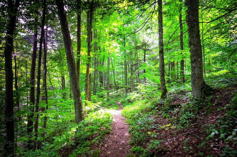 Miles Of Hiking Trails Right Beside The Water