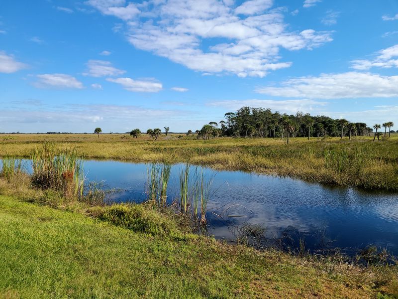 Camping Under The Stars Enhances The Experience