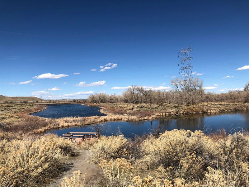 This Massive Colorado State Park Has A Native Rattlesnake Population So ...