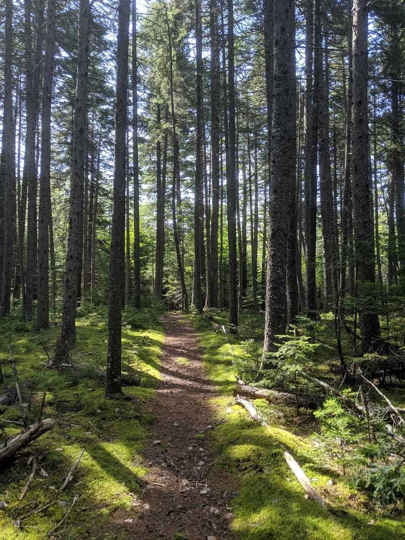 Miles Of Paths To Wander Miles Of Paths To Wander