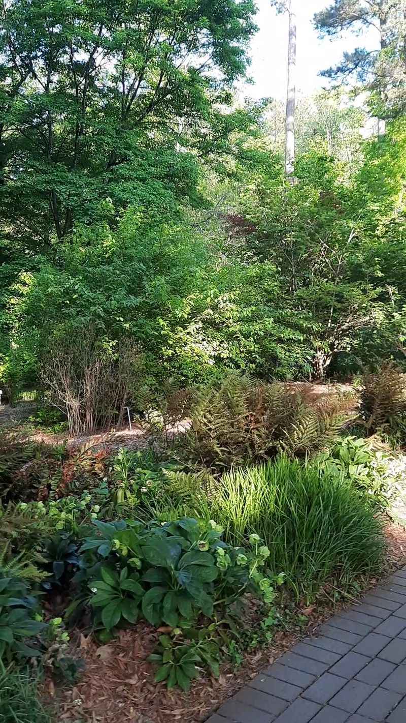 Miles Of Peaceful Nature Trails